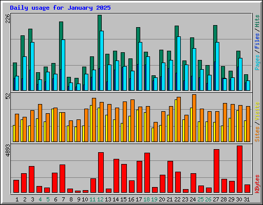 Daily usage for January 2025