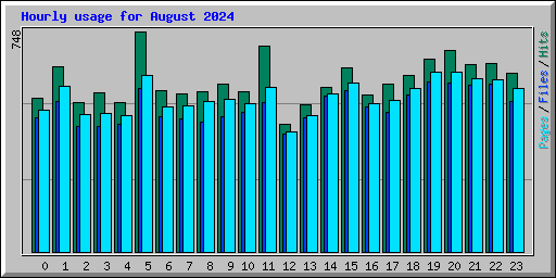 Hourly usage for August 2024