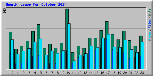 Hourly usage for October 2024