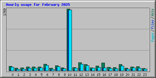 Hourly usage for February 2025