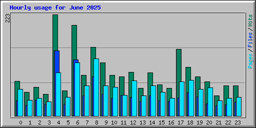 Hourly usage for June 2025