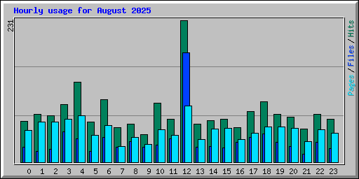 Hourly usage for August 2025