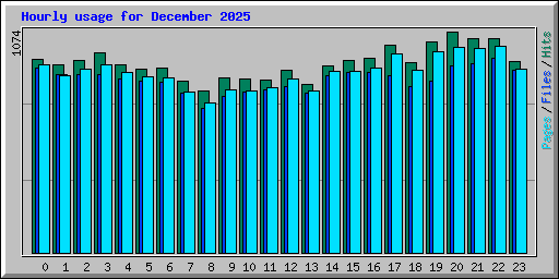 Hourly usage for December 2025
