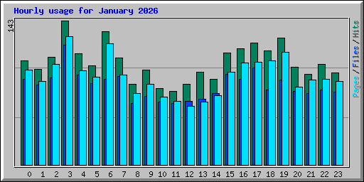 Hourly usage for January 2026